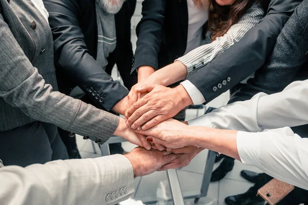 Grupo de diversos profesionales que muestran su unidad — Foto de Stock