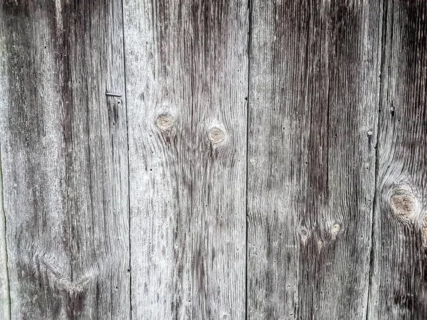 De près. l'image de fond est un fragment d'une clôture en bois . — Photo