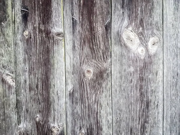 Close up. the background image is a fragment of a wooden fence. — Stock Photo, Image