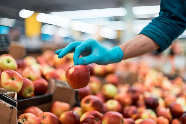 Background image of a man in protective gloves picking apples — Stock Photo, Image