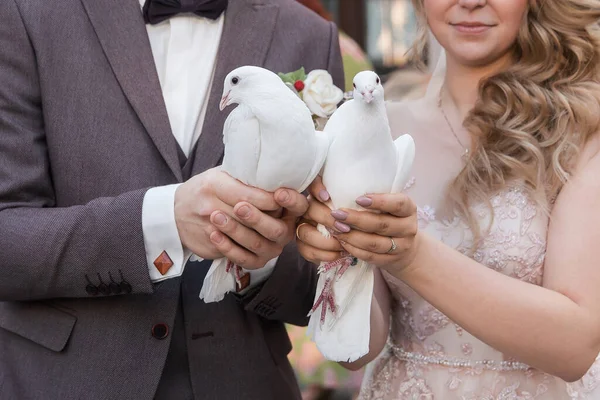 Fecha. pombas brancas nas mãos dos recém-casados. — Fotografia de Stock