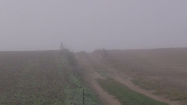Загородная дорога через поля в тумане — стоковое видео