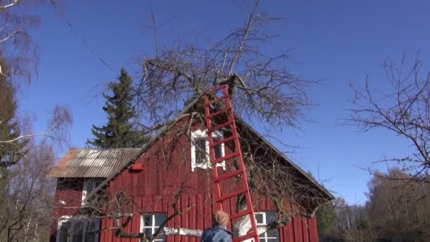 Man förbereder sig för att klättra i träd — Stockvideo