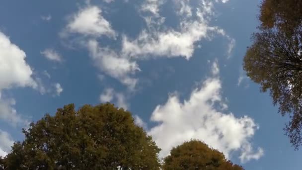 Облака движутся над жёлтыми деревьями, время 4k — стоковое видео