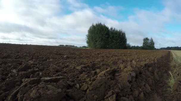 Fast moving clouds over fields in morning, time lapse 4k — Stock Video