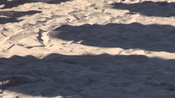 在沙滩上的伞阴影 — 图库视频影像