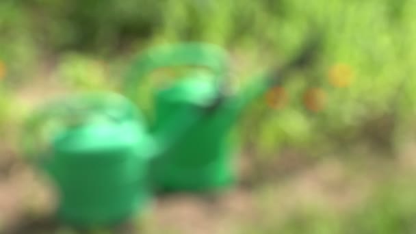 Two plastic watering cans, 4K — Stock Video