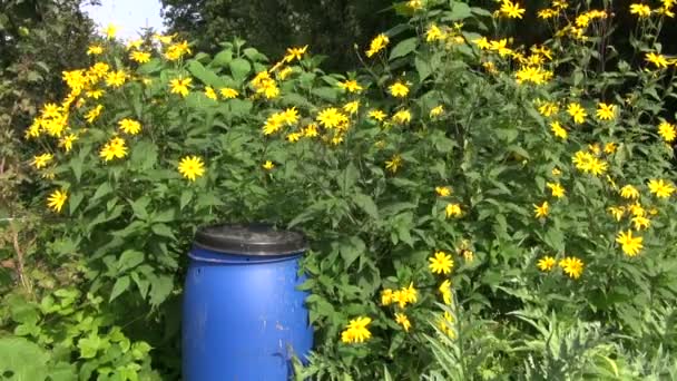 Kunststof organische meststof busje in tuin — Stockvideo