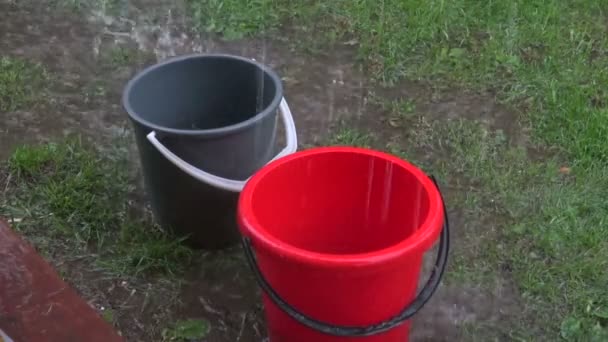 Pluie tombant dans des seaux — Video