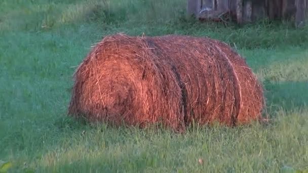 Haystack на лугу — стоковое видео