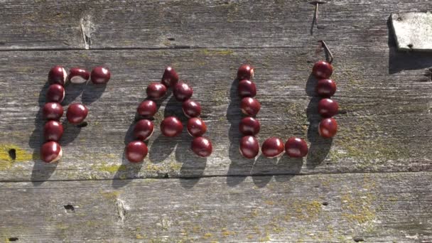 Word FALL made of chestnuts on old wooden background — Stock Video