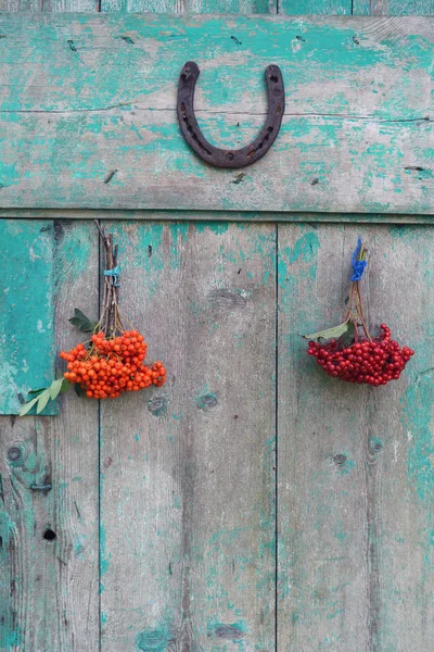 Rusty horseshoe on door with rowan and viburnum berries bunch — Stock Photo, Image