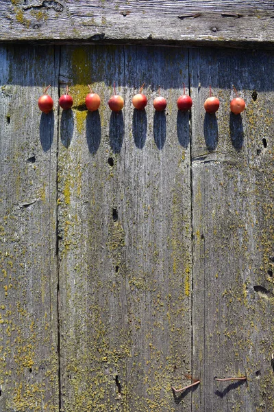 古い木造のカニりんご使用の背景 — ストック写真