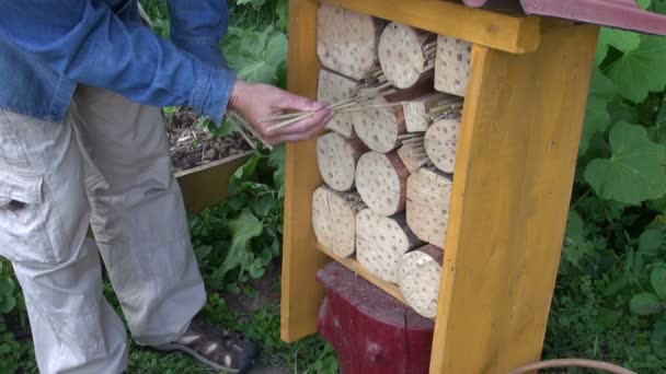 Jardinier faisant hôtel insecte — Video