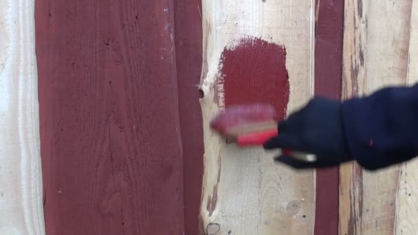 Malarz malowanie domu — Wideo stockowe