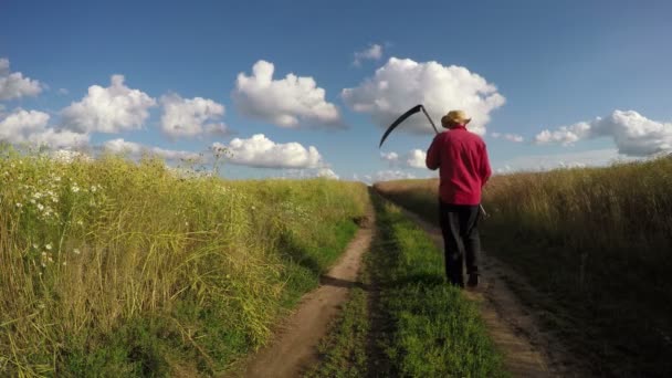 Man in fields walking with scythe, 4K — Stock Video