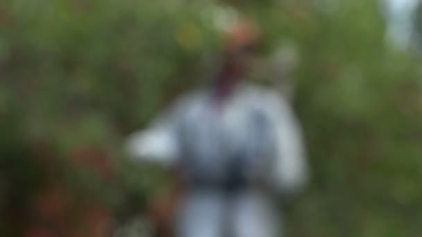 稻草人的樱桃树，4 k — 图库视频影像