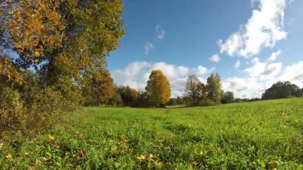 Nuvens movendo-se sobre campos outonais, lapso de tempo 4K — Vídeo de Stock