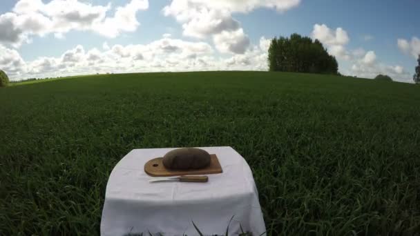 Буханка хлеба на пшеничном поле, срок годности 4К — стоковое видео