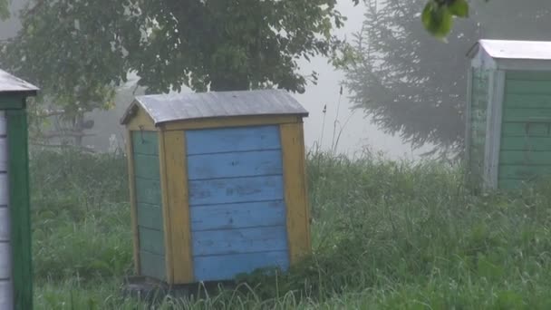 Bunte Bienenstöcke im Apfelgarten — Stockvideo