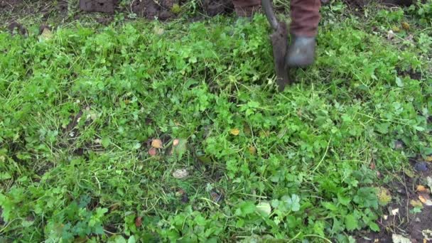 Jardineiro escavando terra com fertilizante ecológico verde — Vídeo de Stock