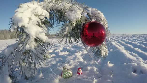 Snöiga nyår pine gren med julgranskulor på fältet, time lapse 4k — Stockvideo
