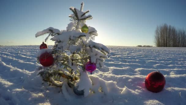 Mooie kerstboom met bauble op besneeuwde Nieuwjaar veld, tijd vervallen 4k — Stockvideo