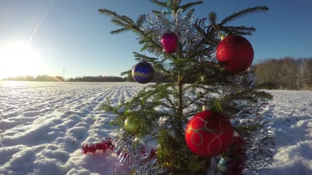 Hermoso árbol de Navidad con adorno en el campo nevado, lapso de tiempo 4K — Vídeos de Stock