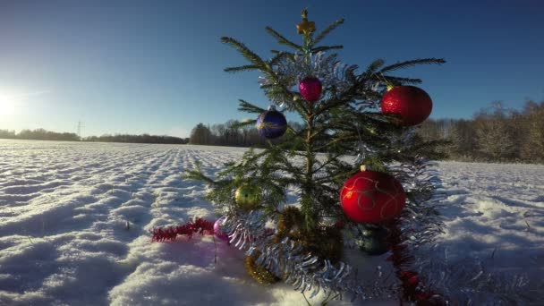 Mooie kerstboom op besneeuwde veld in avond, 4k — Stockvideo