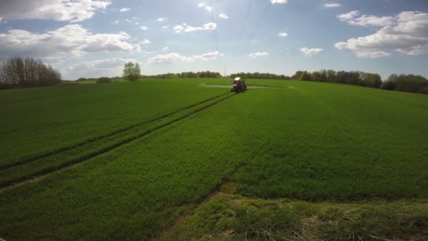 Agricultura tractor pulverización campo de trigo joven, 4 K — Vídeo de stock