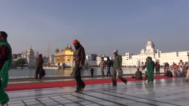 Peregrinos siques no Templo de Ouro em 16 de dezembro de 2012, Amritsar, Punjab, Índia . — Vídeo de Stock