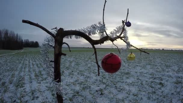 Ветка елки на зимнем поле с рождественской безделушкой, время истекает 4K — стоковое видео