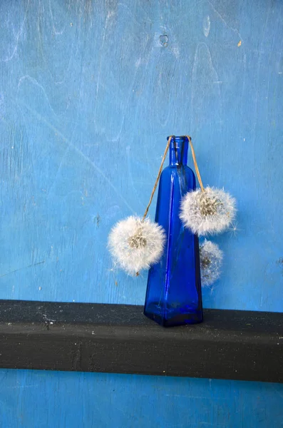 Botella azul con relojes de diente de león blanco seco — Foto de Stock