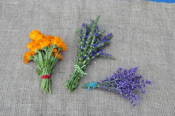 Hierbas medicinales caléndula, lavanda e hisopo manojo — Foto de Stock