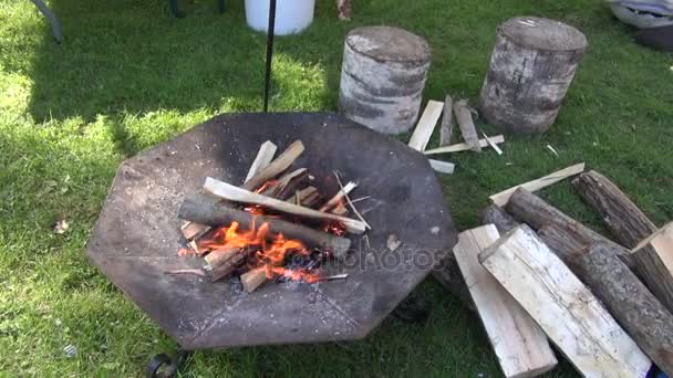 Bonfire flame in medieval summer  fair — Stock Video
