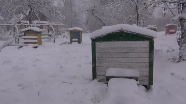 Houten oude bijenkorven in de wintertuin en sneeuwval — Stockvideo