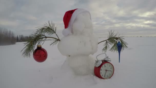 Muñeco de nieve en el campo de invierno, lapso de tiempo 4K — Vídeo de stock
