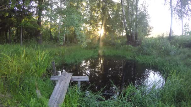 Rybník na slunné podzimní ráno, časová prodleva 4k — Stock video