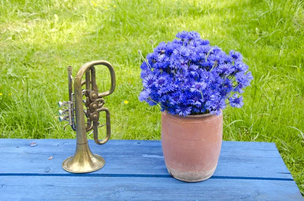 Pentola di argilla antigue con fiordaliso e tromba in ottone — Foto Stock