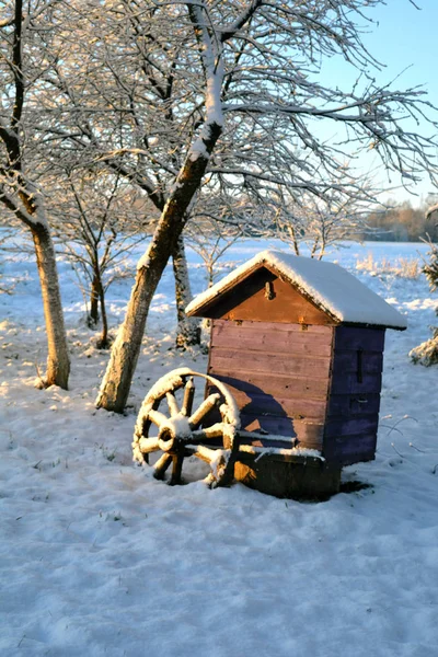 冬の雪山での蜂の巣と馬キャリッジ車輪 — ストック写真