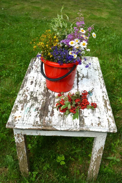 Various summer wild flowers bouquet on old white wooden table — Stock Photo, Image