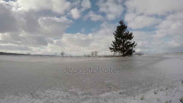 Зимний пейзаж с одинокой елкой в поле и облака движения, время истекает 4K — стоковое видео