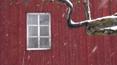 kırmızı ahşap çiftlik evi duvar arka plan beyaz pencere ile üzerinde kar yağışı 