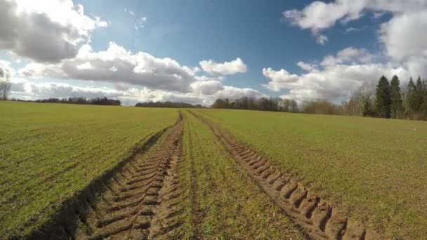 Campo de trigo joven con orugas de tractor y movimiento de nubes, lapso de tiempo 4K — Vídeo de stock