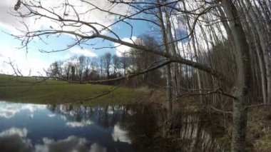 Bahar su birikintisi üzerinde kırpma alanı orman, zaman atlamalı 4k yakınındaki