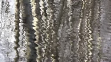 Göl su, video arka plan üzerine huş ağacı düşünceler