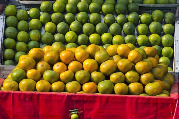 Citrus  fruits on stall in stret market, India — Stock Photo, Image