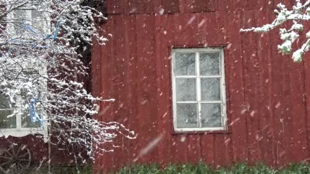 Lente sneeuwval op rode huis muur achtergrond met venster — Stockvideo