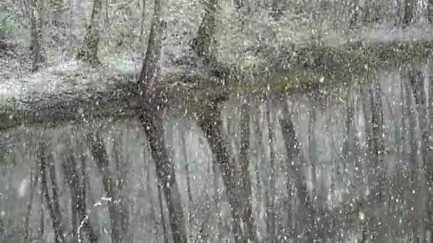 Bos landschap met vijver en lente mooie sneeuwval — Stockvideo