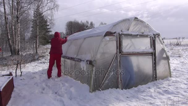 Jardinero quitando nieve del invernadero de plástico en el jardín — Vídeo de stock